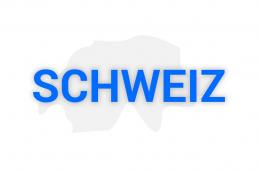 schweiz vpn
